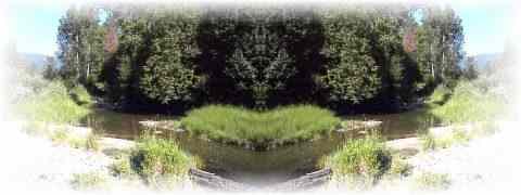 Doctor DeMarco Recommended Products