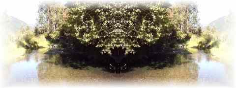 Doctor DeMarco Recommended Products