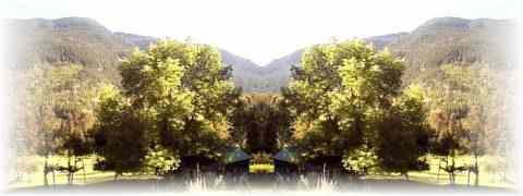 Doctor DeMarco Recommended Products