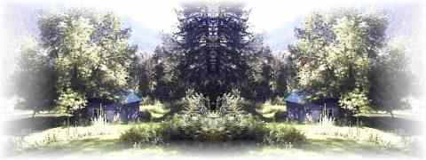 Doctor DeMarco Recommended Products