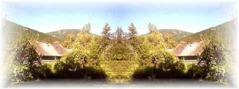 Doctor DeMarco Recommended Products