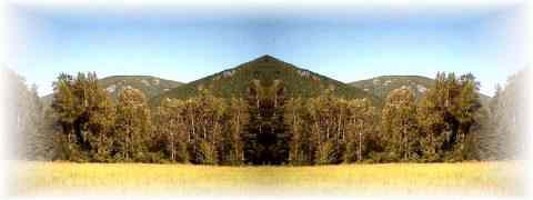 Doctor DeMarco Recommended Products