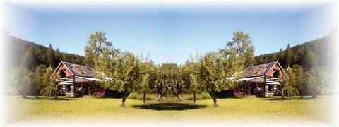 Doctor DeMarco Recommended Products