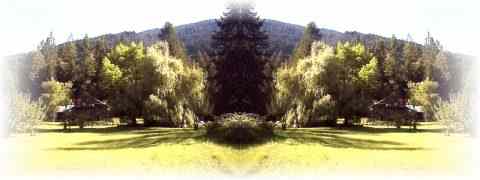 Doctor DeMarco Recommended Products