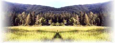 Doctor DeMarco Recommended Products