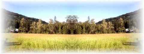 Doctor DeMarco Recommended Products