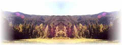 Doctor DeMarco Recommended Products