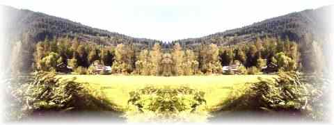 Doctor DeMarco Recommended Products