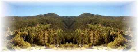 Doctor DeMarco Recommended Products