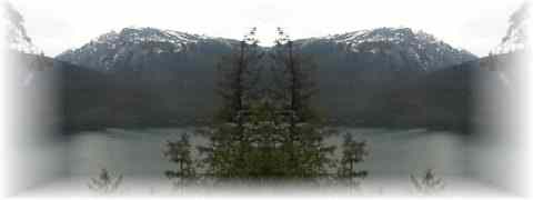 Doctor DeMarco Recommended Products