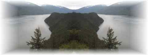 Doctor DeMarco Recommended Products