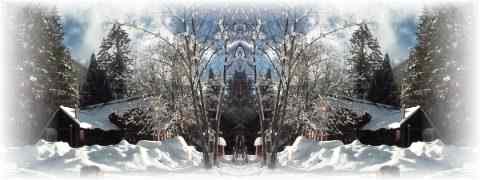 Doctor DeMarco Recommended Products