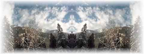 Doctor DeMarco Recommended Products