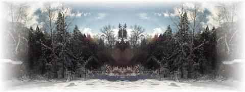 Doctor DeMarco Recommended Products