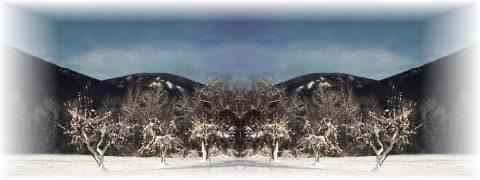 Doctor DeMarco Recommended Products