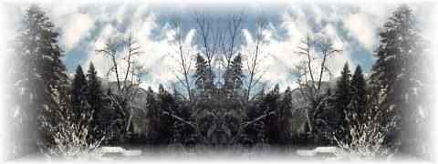 Doctor DeMarco Recommended Products