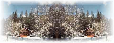 Doctor DeMarco Recommended Products