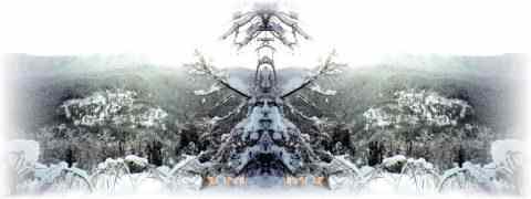 Doctor DeMarco Recommended Products