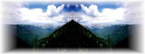 Doctor DeMarco Recommended Products