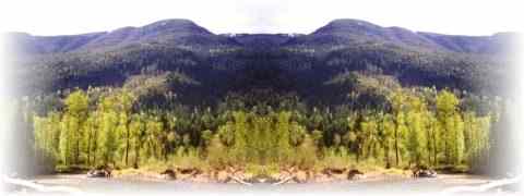 Doctor DeMarco Recommended Products