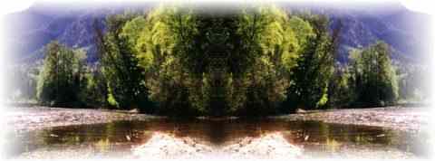 Doctor DeMarco Recommended Products