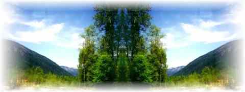 Doctor DeMarco Recommended Products