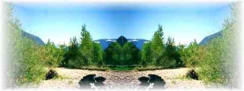 Doctor DeMarco Recommended Products