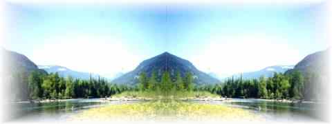 Doctor DeMarco Recommended Products