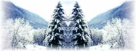 Doctor DeMarco Recommended Products