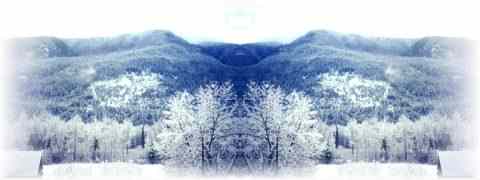 Doctor DeMarco Recommended Products