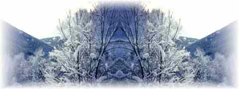 Doctor DeMarco Recommended Products