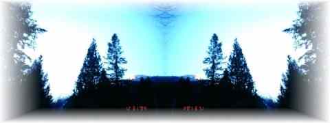 Doctor DeMarco Recommended Products