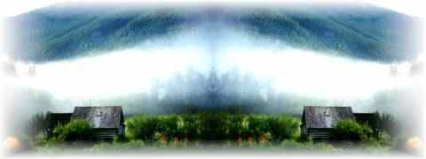 Doctor DeMarco Recommended Products