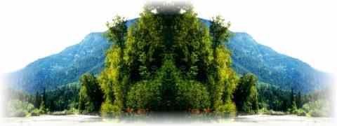 Doctor DeMarco Recommended Products