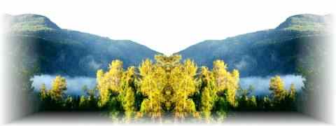 Doctor DeMarco Recommended Products