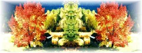 Doctor DeMarco Recommended Products