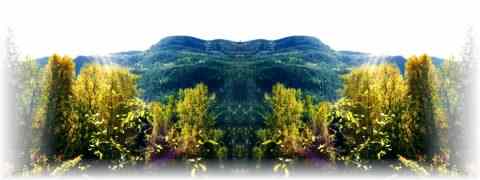 Doctor DeMarco Recommended Products