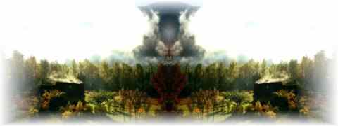 Doctor DeMarco Recommended Products