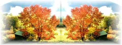 Doctor DeMarco Recommended Products