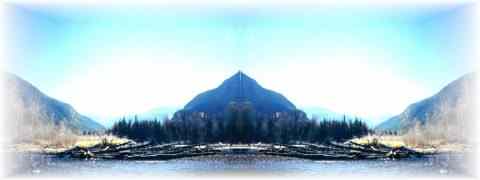 Doctor DeMarco Recommended Products