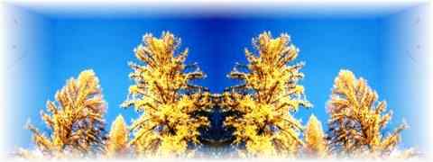 Doctor DeMarco Recommended Products