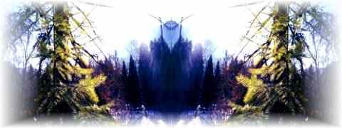 Doctor DeMarco Recommended Products