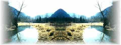 Doctor DeMarco Recommended Products