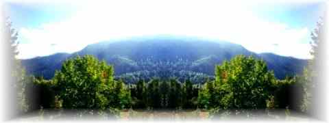 Doctor DeMarco Recommended Products