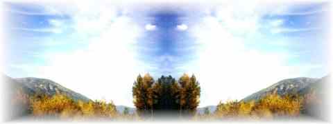 Doctor DeMarco Recommended Products