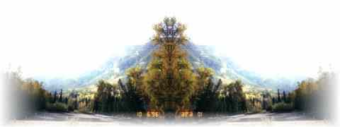 Doctor DeMarco Recommended Products