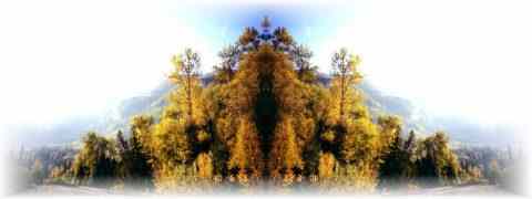 Doctor DeMarco Recommended Products