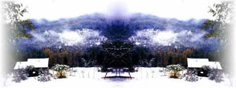 Doctor DeMarco Recommended Products