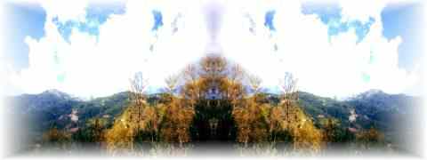 Doctor DeMarco Recommended Products