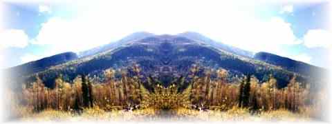 Doctor DeMarco Recommended Products